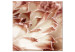 Obraz Czułość kwiatu - artystyczne zdjęcie roślinnego detalu w pastelach 122643