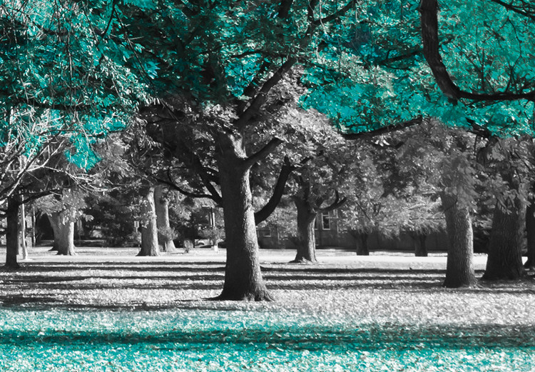Obraz Jesień w parku (1-częściowy) szeroki turkusowy 122753 additionalImage 4