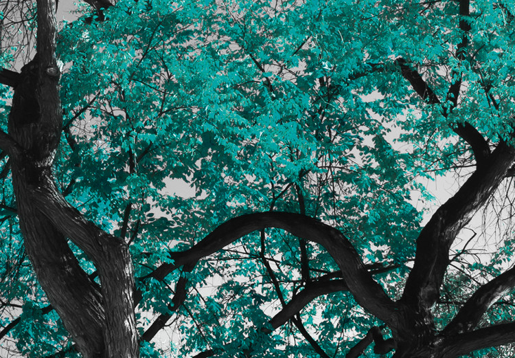 Obraz Jesień w parku (1-częściowy) szeroki turkusowy 122753 additionalImage 5