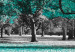 Obraz Jesień w parku (1-częściowy) szeroki turkusowy 122753 additionalThumb 4