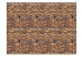 Fototapeta Mur w słońcu - kamienne tło z efektem mahoniowej cegły w słońcu 3D 60953 additionalThumb 1