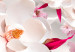 Fototapeta Motyw kwiatowy - bukiet kwiatów w odcieniach różu na tle z efektem 3D 126663 additionalThumb 4