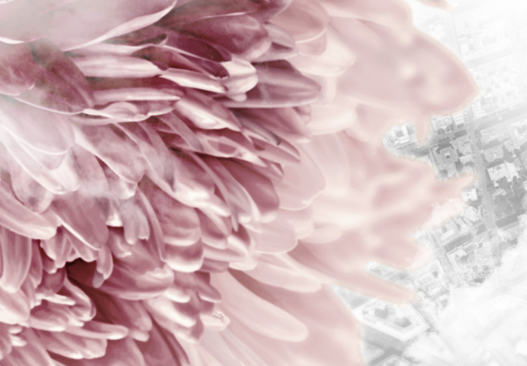 Obraz Daliowe obłoki - przenikające się zdjęcia chmur i różowych kwiatów 122783 additionalImage 4