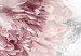 Obraz Daliowe obłoki - przenikające się zdjęcia chmur i różowych kwiatów 122783 additionalThumb 4