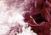 Obraz Daliowe obłoki - przenikające się zdjęcia chmur i różowych kwiatów 122783 additionalThumb 5