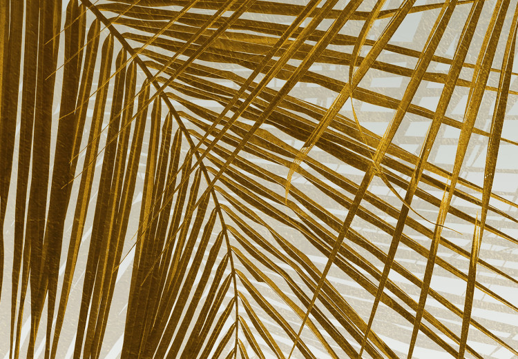 Fototapeta Pod tropikalną rośliną - rozłożyste gałązki palmy ze złotymi liśćmi 145183 additionalImage 3
