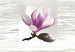 Obraz Przebudzenie magnolii 48483 additionalThumb 5