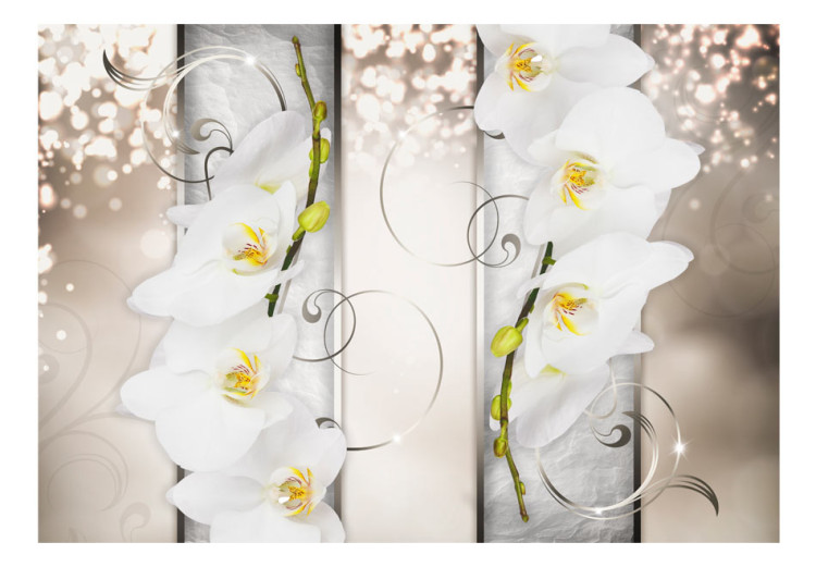 Fototapeta Eleganckie kwiaty - abstrakcja z białymi orchideami na tle deseni 60183 additionalImage 1