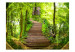Fototapeta Tajemnica lasu - fantazyjny pejzaż ze schodami otoczonymi drzewami 60504 additionalThumb 1