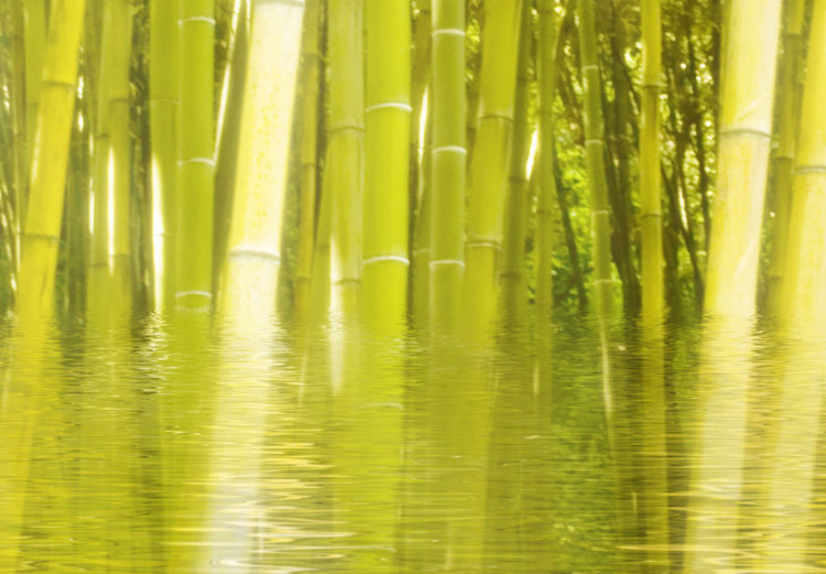 Obraz Bambus w tafli wody 58814 additionalImage 5