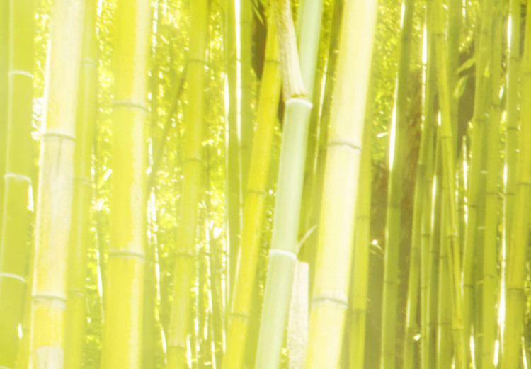 Obraz Bambus w tafli wody 58814 additionalImage 4