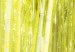 Obraz Bambus w tafli wody 58814 additionalThumb 4