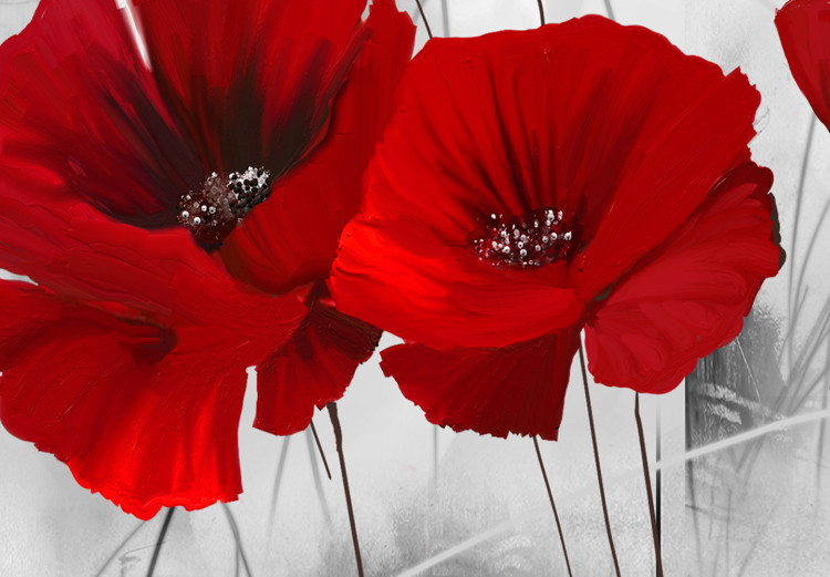 Obraz Czerwone maki na łące (4-częściowy) - kwiaty na szarym tle natury 118434 additionalImage 5
