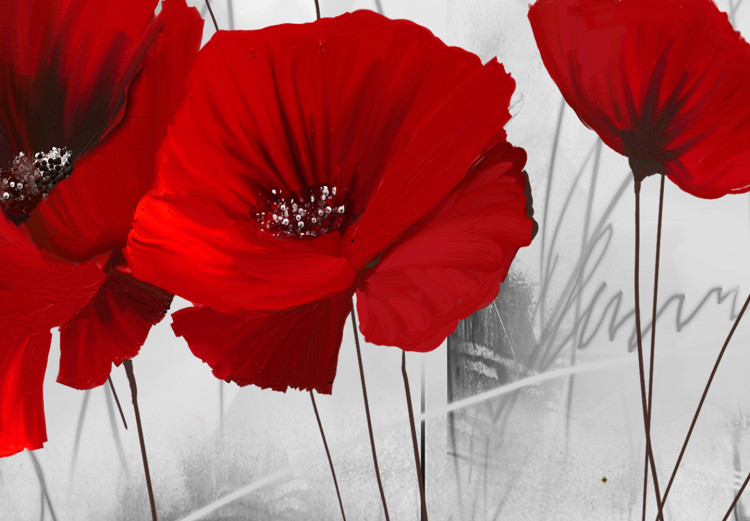 Obraz Czerwone maki na łące (4-częściowy) - kwiaty na szarym tle natury 118434 additionalImage 4