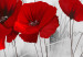 Obraz Czerwone maki na łące (4-częściowy) - kwiaty na szarym tle natury 118434 additionalThumb 4