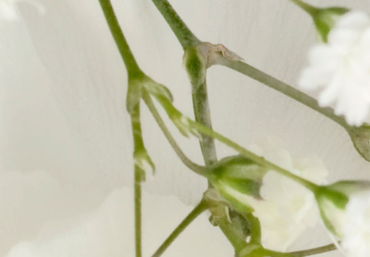 Fototapeta Perłowy luksus - białe kwiaty na tle o teksturze skóry z pikowaniem 94234 additionalImage 4