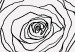 Obraz Róża we włosach - linearna sylwetka kobiety z kwiatkiem 132144 additionalThumb 5