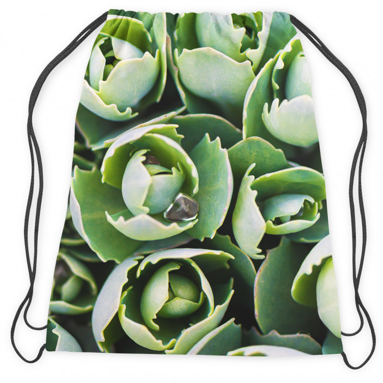 Worek plecak Nieśmiałe sukulenty - roślinna kompozycja z bogatym detalem 147344 additionalImage 2