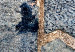 Fototapeta Elementy niebieskie - tło o nieregularnej teksturze bloków z kamienia 94244 additionalThumb 4
