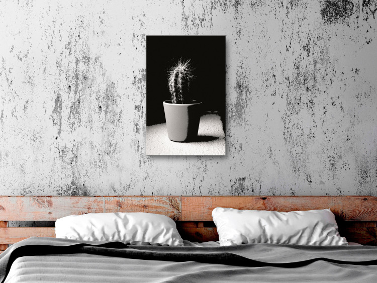 Obraz Kaktus w doniczce na stole - czarno-biała fotografia 125254 additionalImage 3