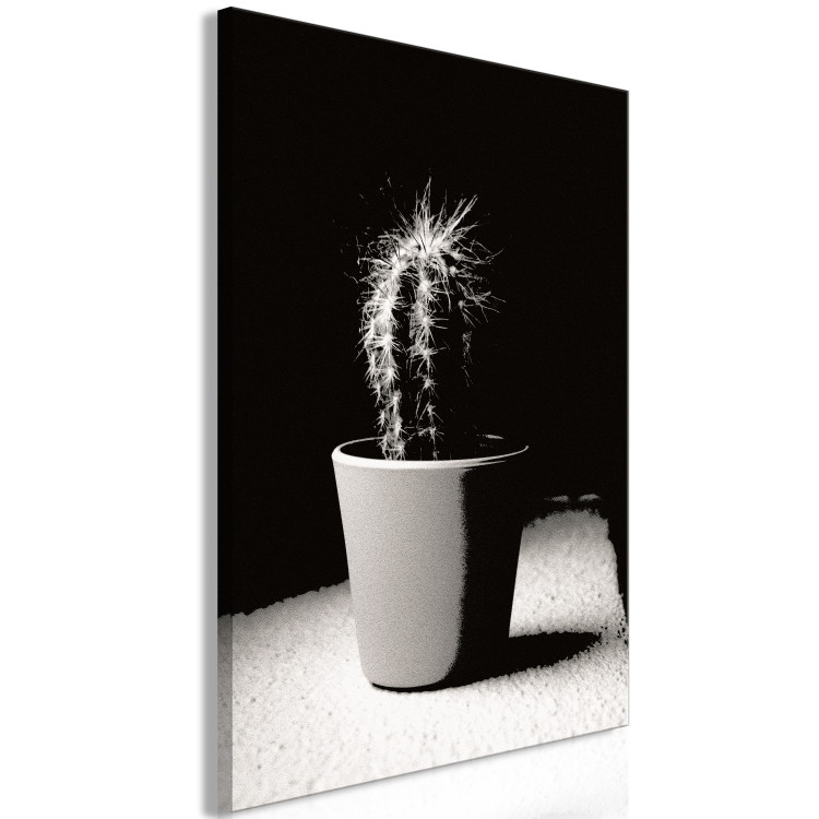 Obraz Kaktus w doniczce na stole - czarno-biała fotografia 125254 additionalImage 2