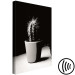 Obraz Kaktus w doniczce na stole - czarno-biała fotografia 125254 additionalThumb 6