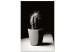 Obraz Kaktus w doniczce na stole - czarno-biała fotografia 125254