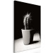 Obraz Kaktus w doniczce na stole - czarno-biała fotografia 125254 additionalThumb 2