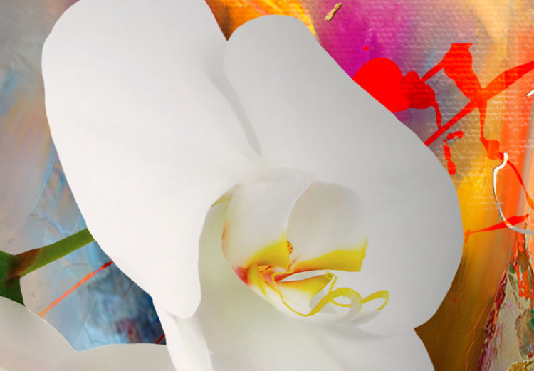 Obraz Orchidea i kolory 63974 additionalImage 5