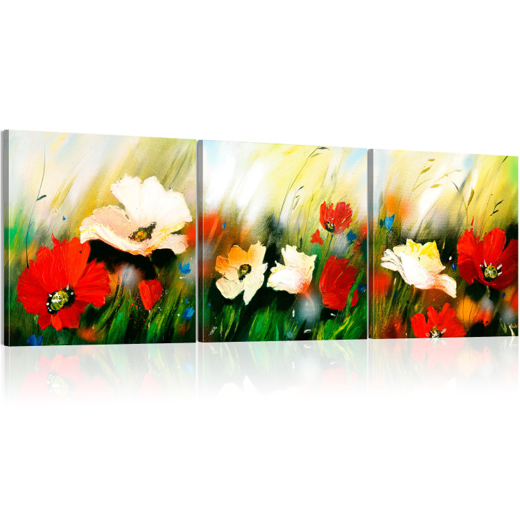 Obraz Wiatr na łące (3-częściowy) - polne kwiaty i maki z zieloną trawą 47494 additionalImage 2