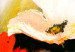 Obraz Wiatr na łące (3-częściowy) - polne kwiaty i maki z zieloną trawą 47494 additionalThumb 5