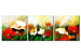 Obraz Wiatr na łące (3-częściowy) - polne kwiaty i maki z zieloną trawą 47494