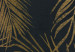 Obraz okrągły Złoty palmowiec - Liście palmy na ciemnym tle wariant 3 148705 additionalThumb 3