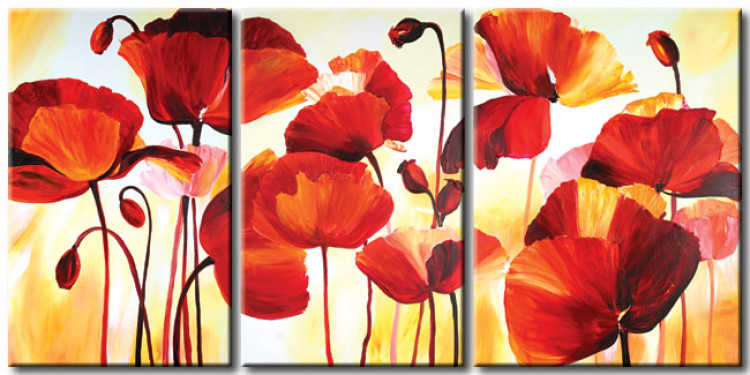Obraz Czerwień maków (3-częściowy) - abstrakcyjny motyw kwiatowy z łuną 46605