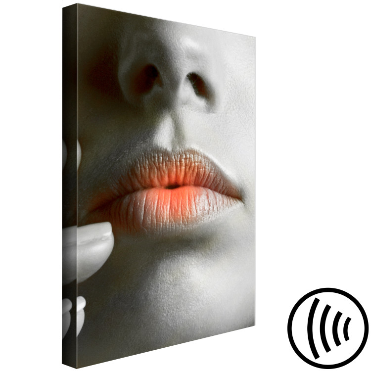 Obraz Ciepłe usta - zbliżenie na kobiecą twarz w odcieniach szarości  117515 additionalImage 6