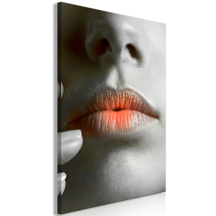 Obraz Ciepłe usta - zbliżenie na kobiecą twarz w odcieniach szarości  117515 additionalImage 2
