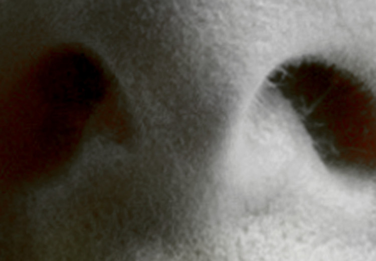Obraz Ciepłe usta - zbliżenie na kobiecą twarz w odcieniach szarości  117515 additionalImage 4