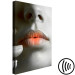 Obraz Ciepłe usta - zbliżenie na kobiecą twarz w odcieniach szarości  117515 additionalThumb 6