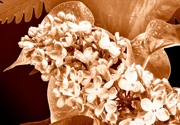 Obraz Jesienna kompozycja kwiatowa - motyw florystyczny w sepii i bieli 123915 additionalImage 4