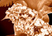 Obraz Jesienna kompozycja kwiatowa - motyw florystyczny w sepii i bieli 123915 additionalThumb 4