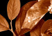 Obraz Jesienna kompozycja kwiatowa - motyw florystyczny w sepii i bieli 123915 additionalThumb 5