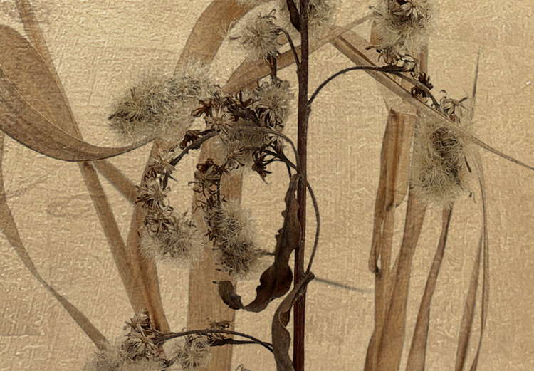Obraz Polne kwiaty w stylu boho (1-częściowy) - motyw roślinny na tle koła 117525 additionalImage 4