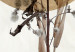 Obraz Polne kwiaty w stylu boho (1-częściowy) - motyw roślinny na tle koła 117525 additionalThumb 5