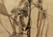Obraz Polne kwiaty w stylu boho (1-częściowy) - motyw roślinny na tle koła 117525 additionalThumb 4