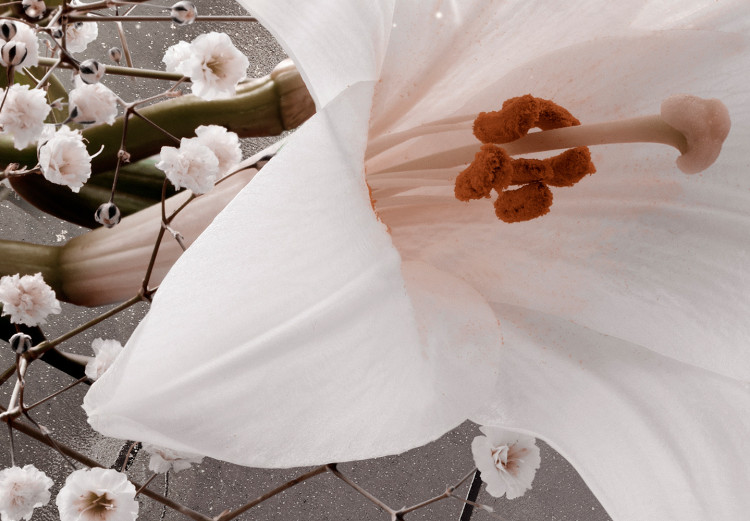 Fototapeta Wiosna - abstrakcja z kwiatami lilii na tle z fantazyjnymi elementami 132225 additionalImage 3