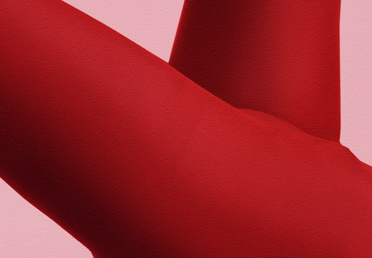Plakat Czerwone rajstopy - kobiecie nogi, szpilki i liść palmy na różowym tle 144125 additionalImage 3