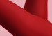 Plakat Czerwone rajstopy - kobiecie nogi, szpilki i liść palmy na różowym tle 144125 additionalThumb 3