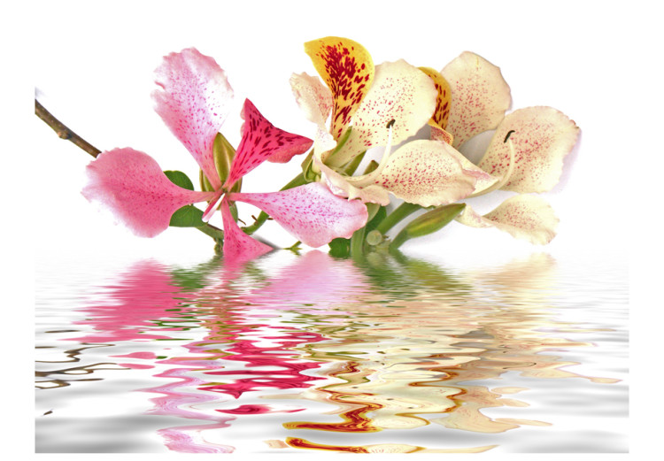 Fototapeta Kwiaty tropikalne - storczyki i kolorowy motyw kwiatowy na białym tle 60225 additionalImage 1
