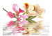 Fototapeta Kwiaty tropikalne - storczyki i kolorowy motyw kwiatowy na białym tle 60225 additionalThumb 1
