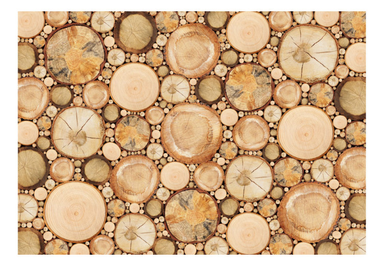 Fototapeta W tartaku - tło w deseń słoi drzew z poukładanych drewnianych kłód 61035 additionalImage 1